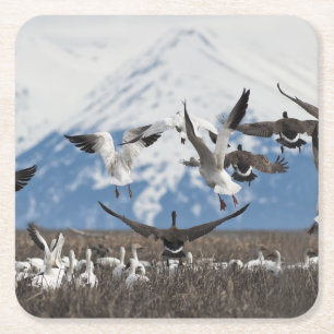 Scattering Geese Rechteckiger Pappuntersetzer