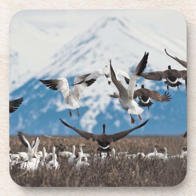 Scattering Geese Untersetzer (Vorderseite)