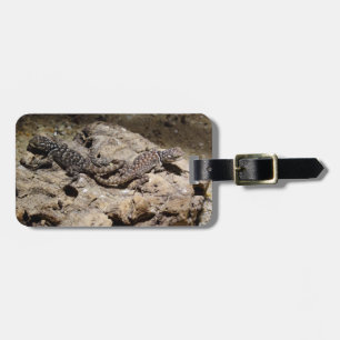 Sceloporus cyanogenes gepäckanhänger