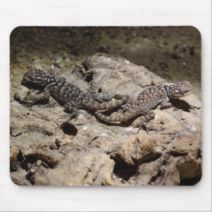 Sceloporus cyanogenes mousepad