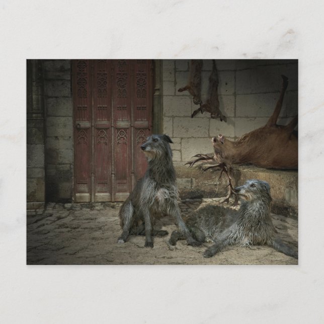 Scène de chasse: le butin (Teil. 3) Postkarte (Vorderseite)