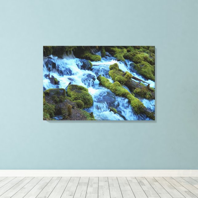 Scenic Forest Waterfall Landscape Leinwanddruck (Insitu (Holzboden))