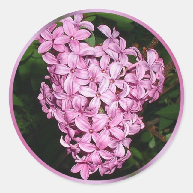 Scent of Lilacs Runder Aufkleber (Vorderseite)