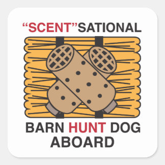 Scent-Sational Barn Hunt Hunt Quadratischer Aufkleber