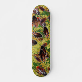 Schaben Skateboard