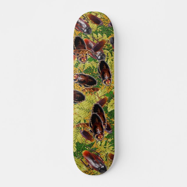 Schaben Skateboard (Vorne)