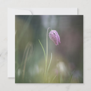 Schach-Blume