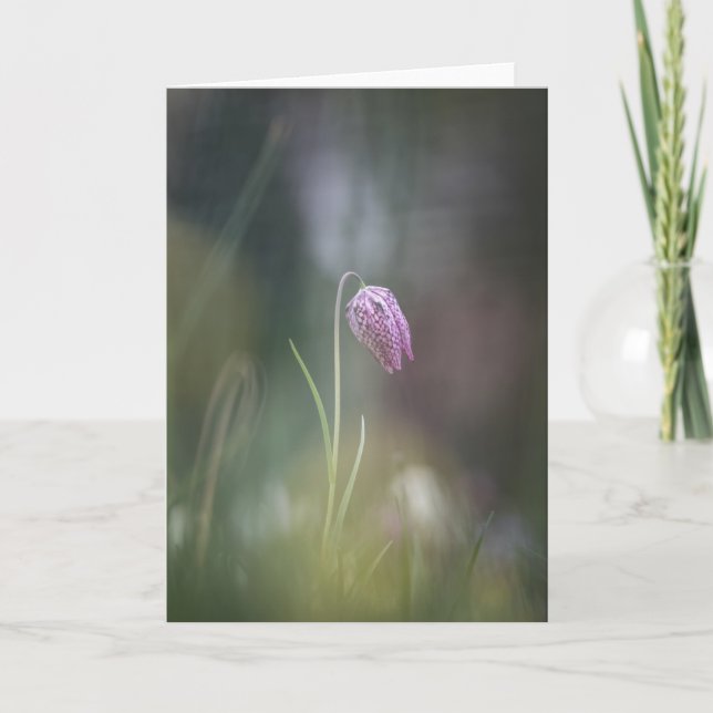 Schach-Blume Natur-Foto Karte (Vorderseite)