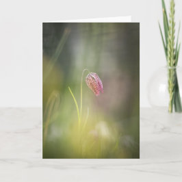 Schach-Blume-Natur-Foto Karte