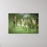 Schach-Blume Natur-Foto