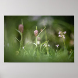 Schach-Blume Natur-Foto Poster