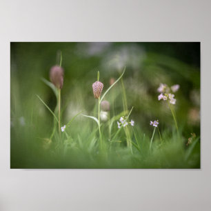 Schach-Blume Natur-Foto Poster