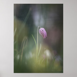 Schach-Blume Natur-Foto Poster