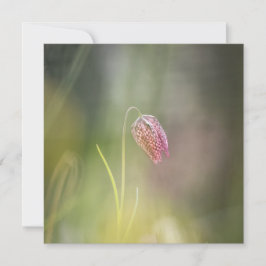Schach-Blume-Natur-Fotokarte