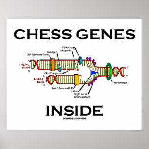 Schach-Gene im Inneren (DNA-Replikation) Poster