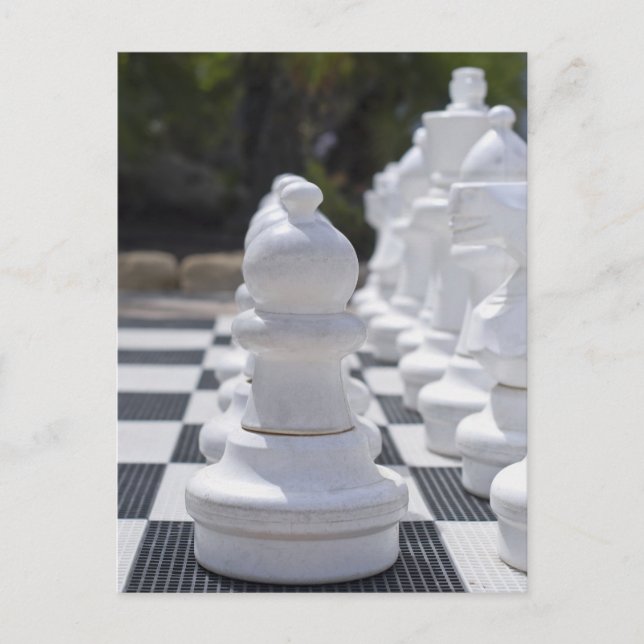 Schach-Postkarte Postkarte (Vorderseite)