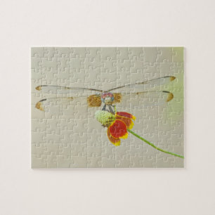 Schachbrett-Setwing (Dythemis fugax) auf mexikanis Puzzle