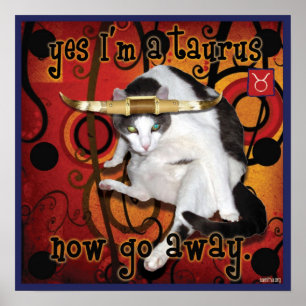 Schachbretter taurus poster