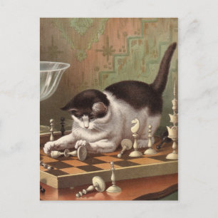 Schachkatze Postkarte