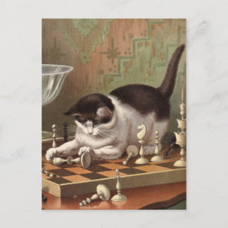 Schachkatze Postkarte