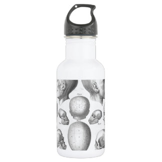 Schädel-Arten Edelstahlflasche