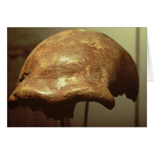 Schädel eines Neanderthal