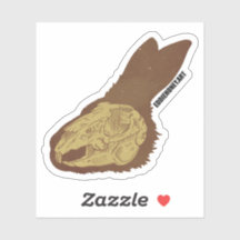 Schädel - Kaninchen