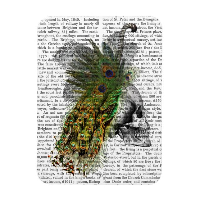 Schädel mit Federhaube Magnet (Vertikal)