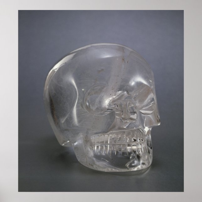 Schädel Poster (Vorne)