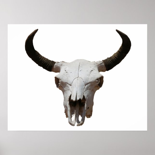 Schädel Poster (Vorne)