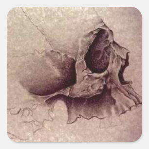 Schädel Quadratischer Aufkleber