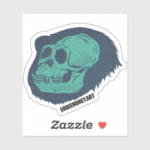 Schädel - Schimpanse