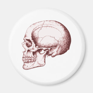 Schädel SID eRed Magnet