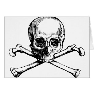 Schädel und Knochen