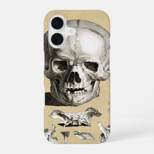 Schädel und Knochen Anatomie iPhone 16 Hülle