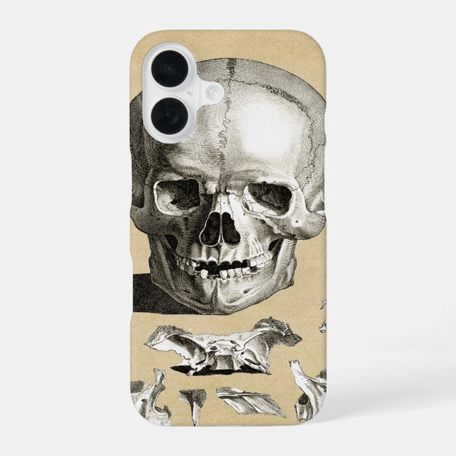Schädel und Knochen Anatomie iPhone 16 Hülle (Rückseite)