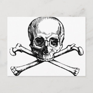 Schädel und Knochen Postkarte