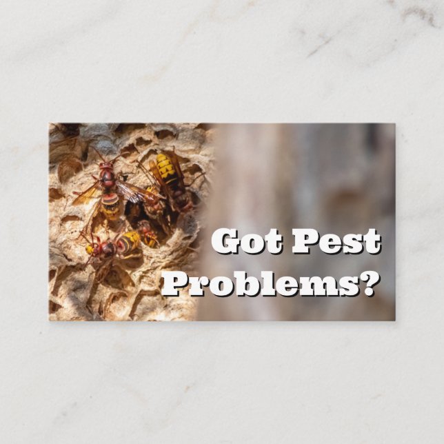 Schädlingsbekämpfer für Hornets Wespe Kontrolle Visitenkarte (Vorderseite)