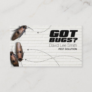 Schädlingslösung Visitenkarte