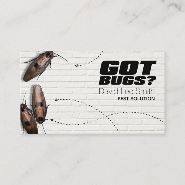 Schädlingslösung Visitenkarte (Vorderseite)