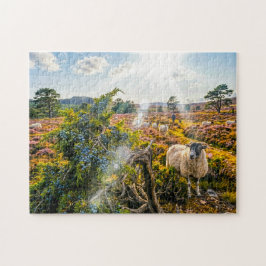 Schaf auf Heide mit Wacholderbaum Puzzle