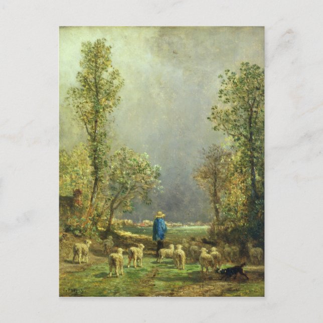 Schaf beim Sturm Postkarte (Vorderseite)