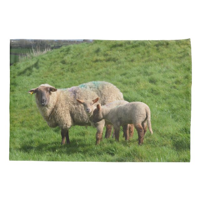 Schaf-Familie Kissenbezug (Rückseite)