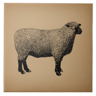 Schaf Illustration Vintage Kunst Fliese