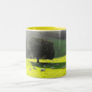 Schaf in der Morgensonne Zweifarbige Tasse