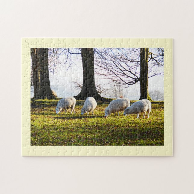 Schaf in der Wintersonne Puzzle (Horizontal)
