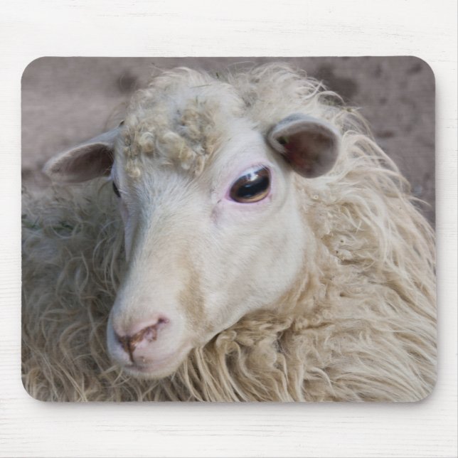 Schaf-Mauspad Mousepad (Vorne)