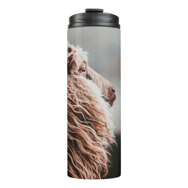 SCHAF THERMOSBECHER (Vorderseite)