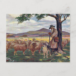 Schäfchen hüten Vintage Postkarte
