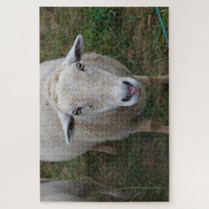 Schafe auf dem Feld Puzzle